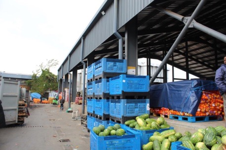 Read more about the article Discover the heart of freshness: Joburg Market’s dynamic shopping experience