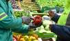 FOOD SECURITY